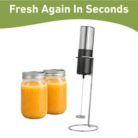 Stainless Steel Frother My Store